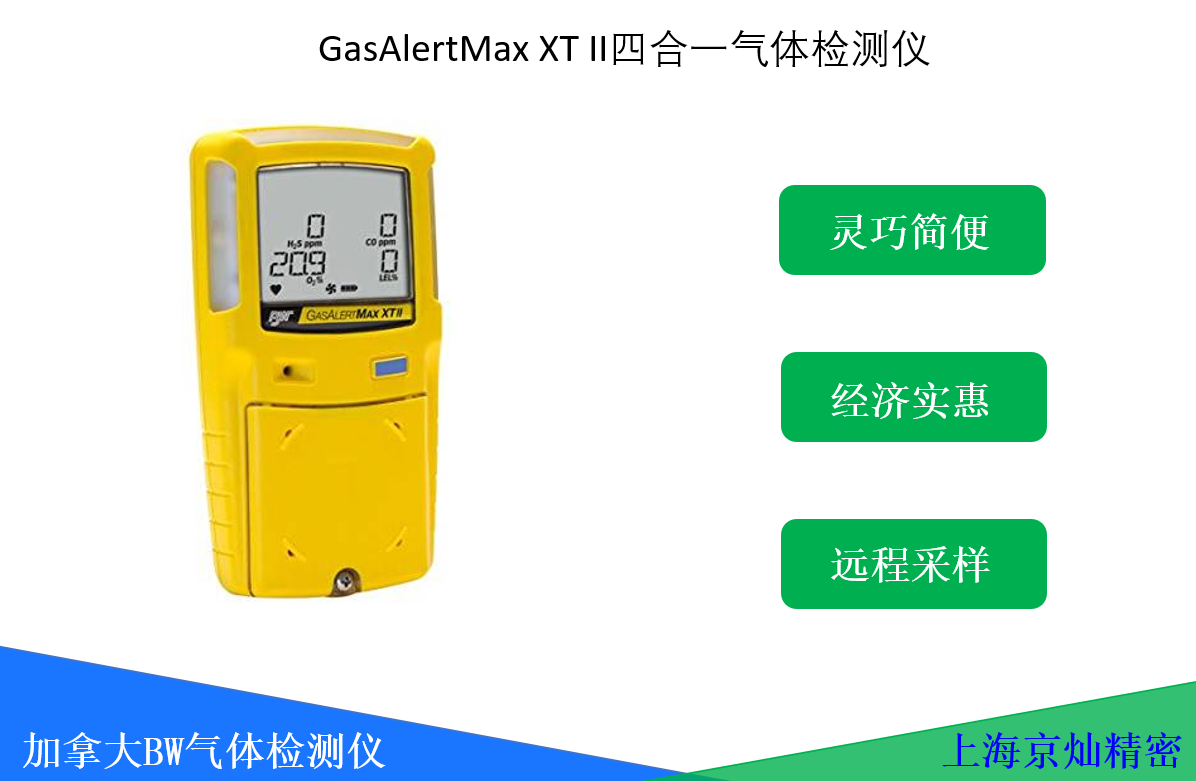 BW GasAlertMax XT II泵吸式气体检测仪